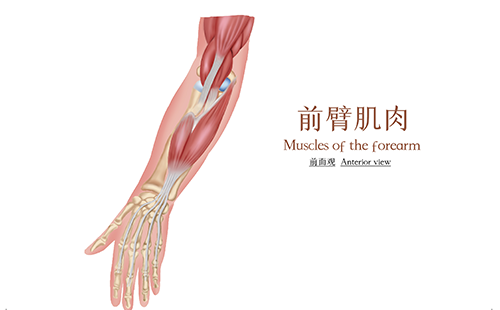 體測(cè)儀